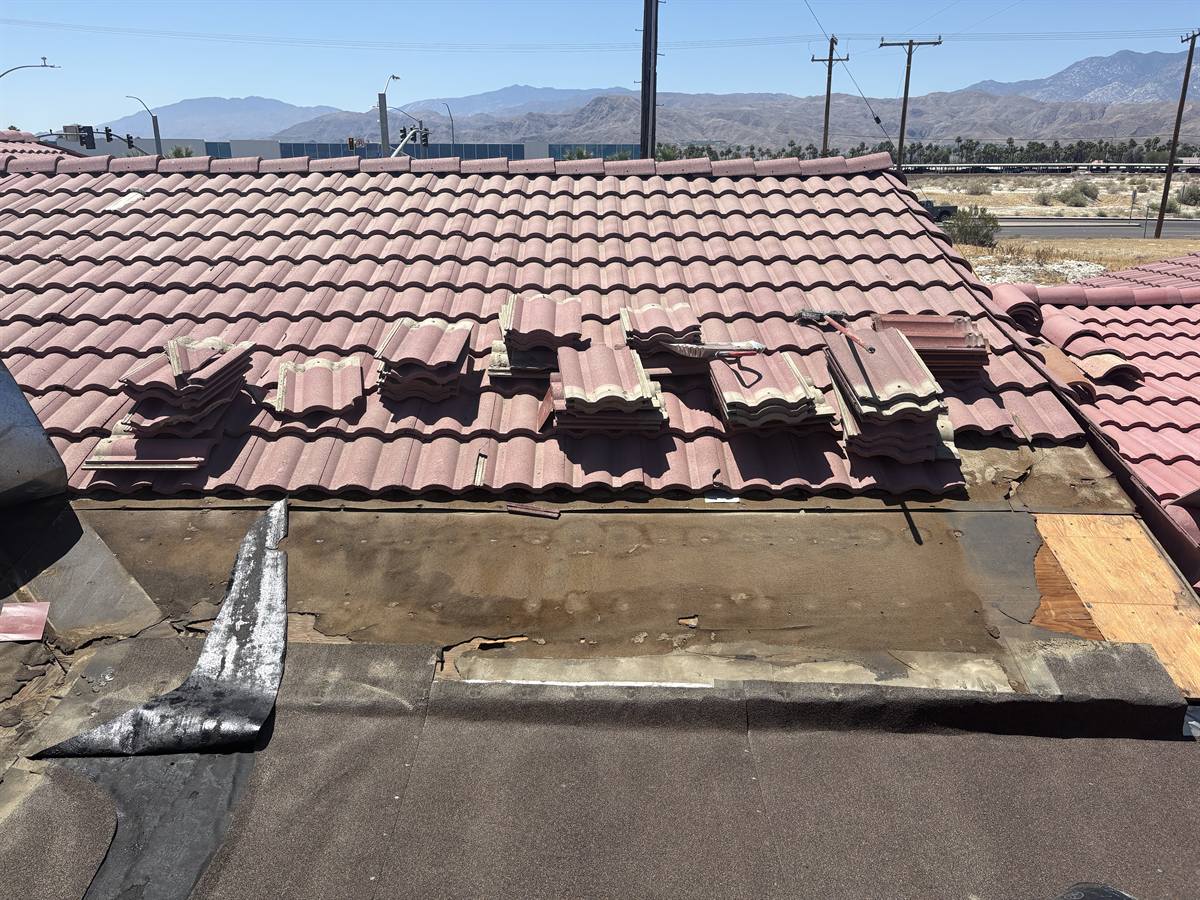 Storm-damaged tile edge showing the failed underlayment beneath