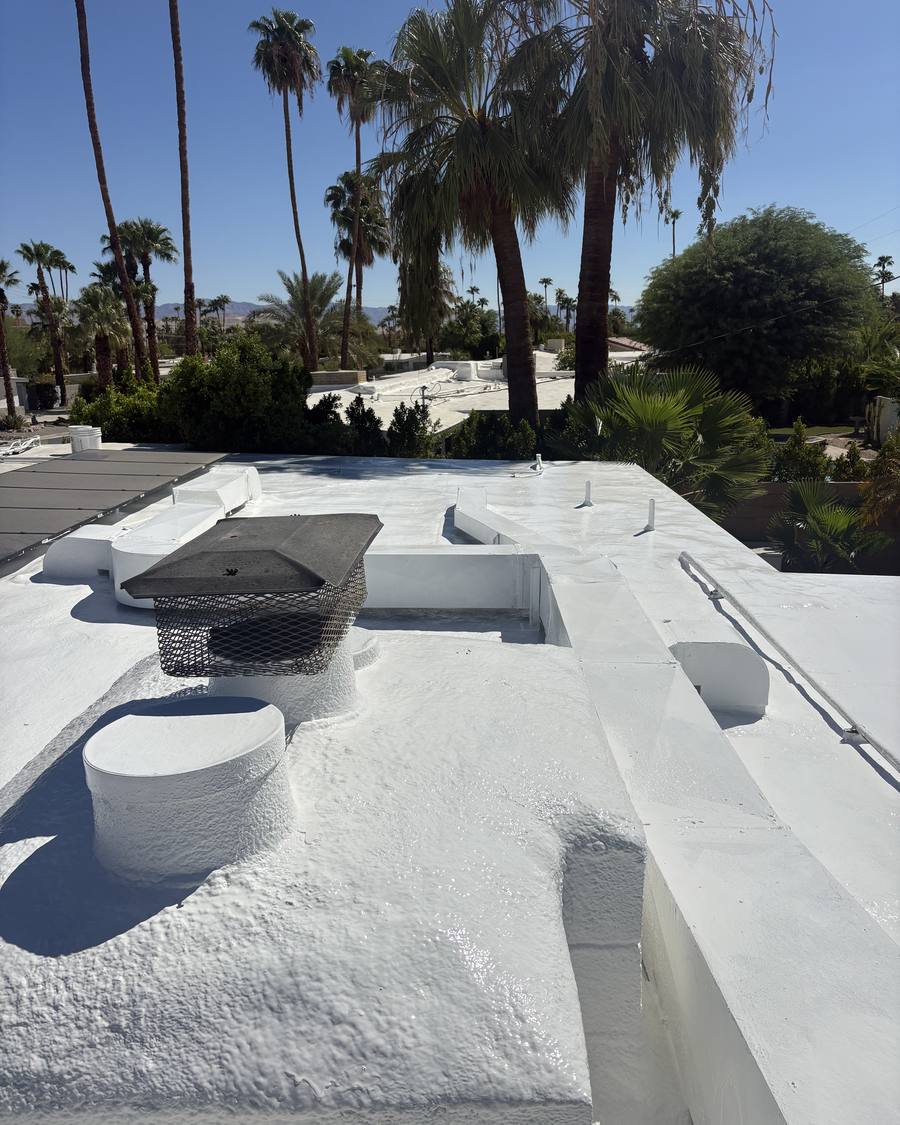 Foam roof with coated chimney cap and parapets, palms behind