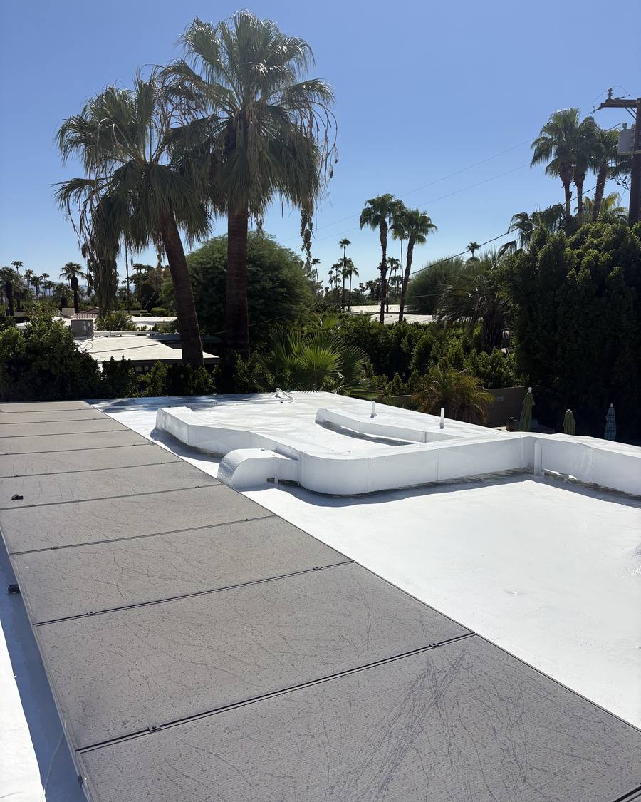Foam roof edge with coated parapets and tall palms